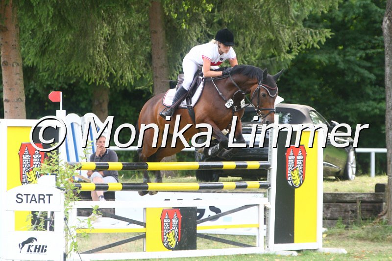 308M1058_Goldene_Spring Mx.JPG